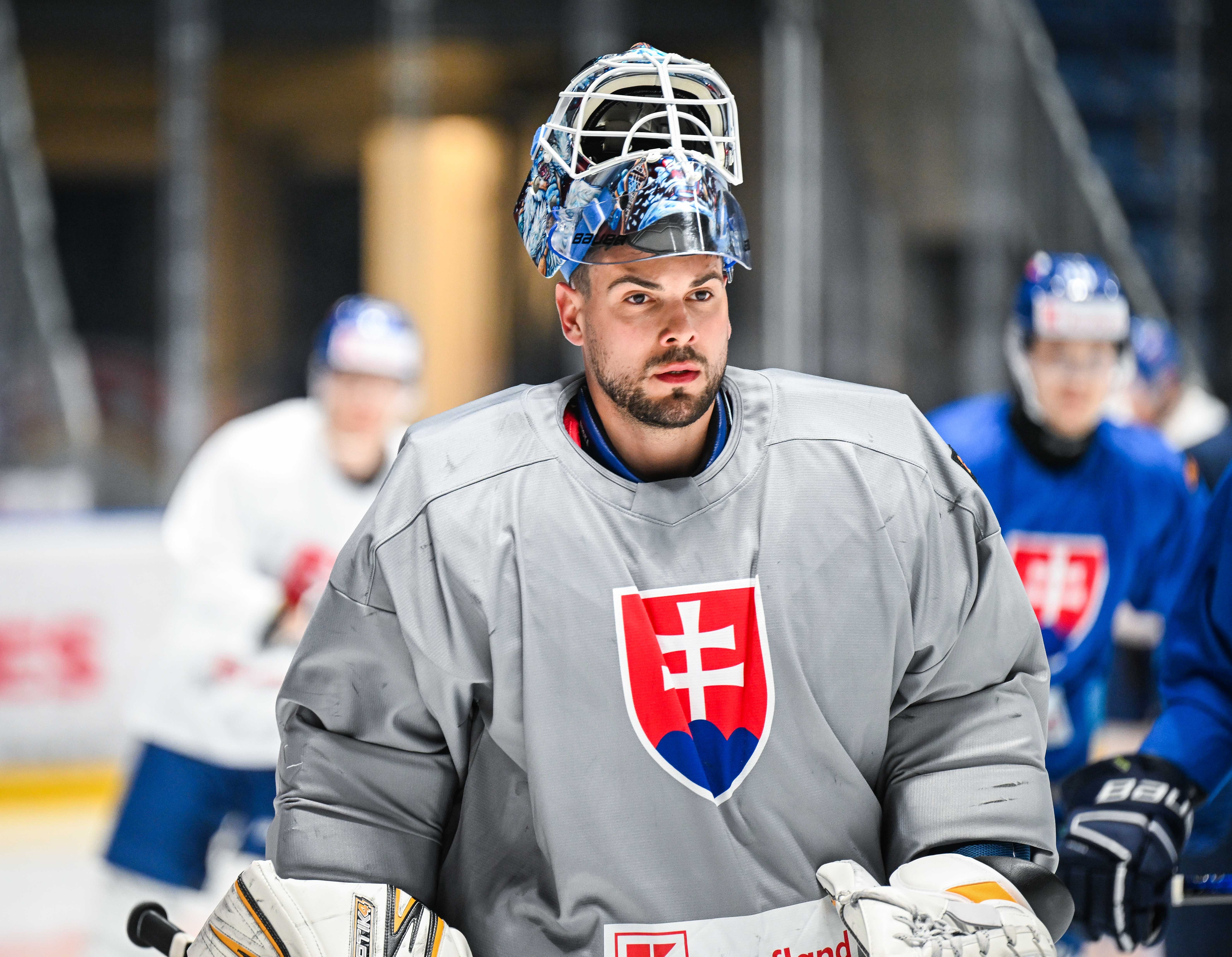 Hokejová reprezentácia